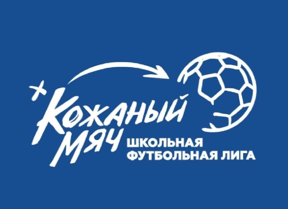 Школьная футбольная лига