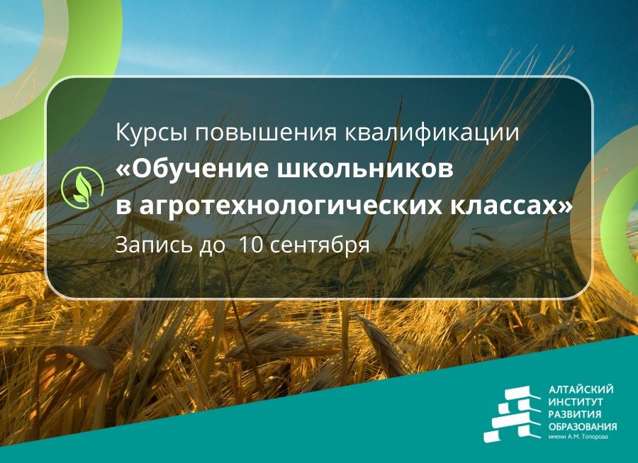 Изображение WhatsApp 2025-09-02 в 15.00.35_460f71e6