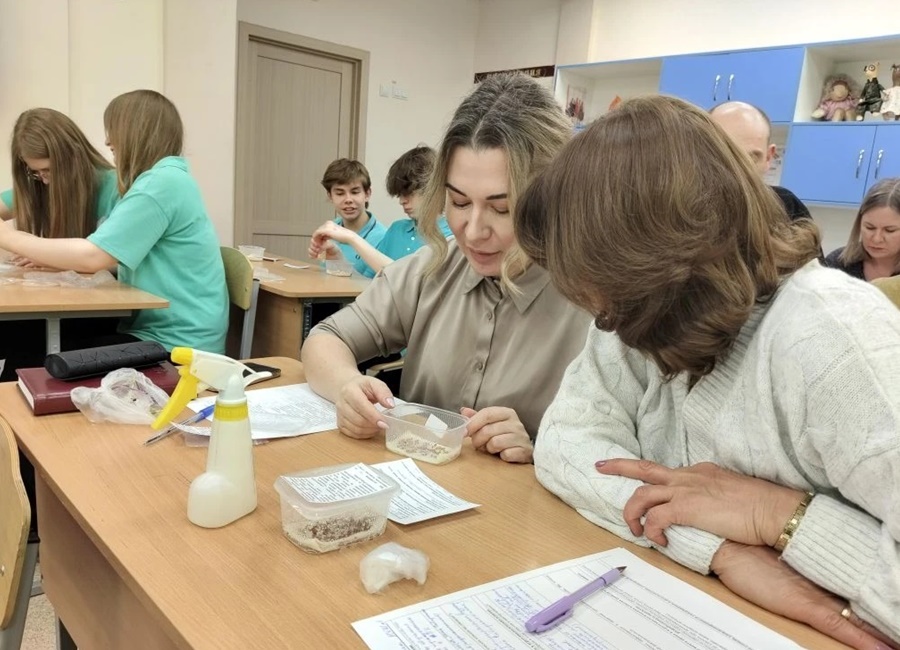 Стажерская практика